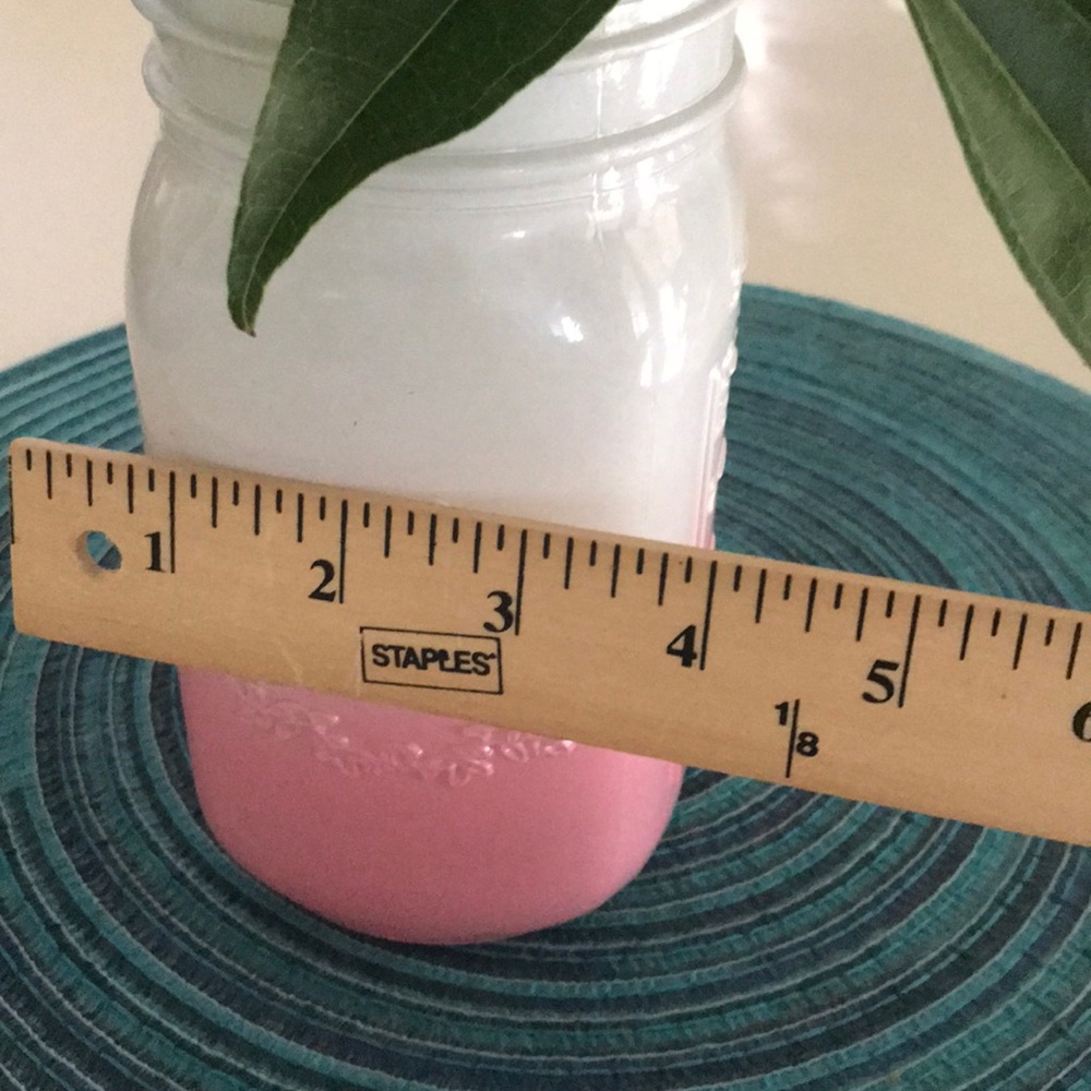 Mason Jar Vase by Jardin - Picture 6 of 8